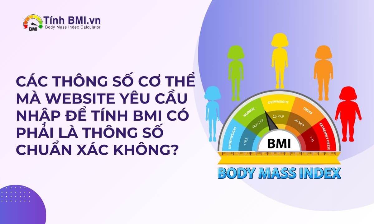 Các thông số cơ thể mà website yêu cầu nhập để tính BMI có phải là thông số chuẩn xác không?