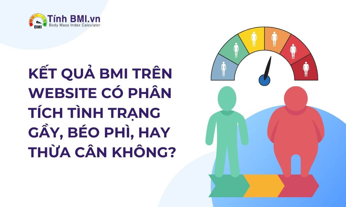 Kết quả BMI trên website có phân tích tình trạng gầy, béo phì, hay thừa cân không?